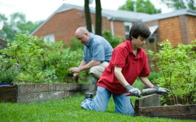 How to Sterilize Potting Soil for Your Plants’ Wellbeing