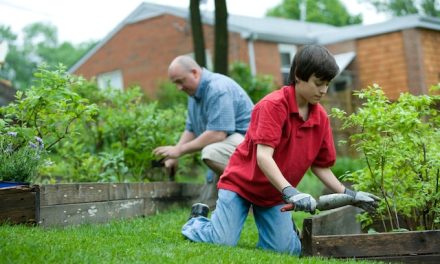 How to Sterilize Potting Soil for Your Plants’ Wellbeing