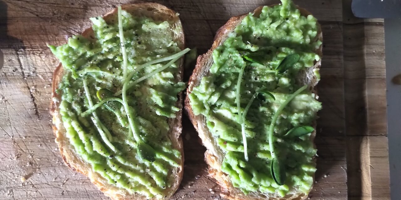 Microgreens on Avocado toast