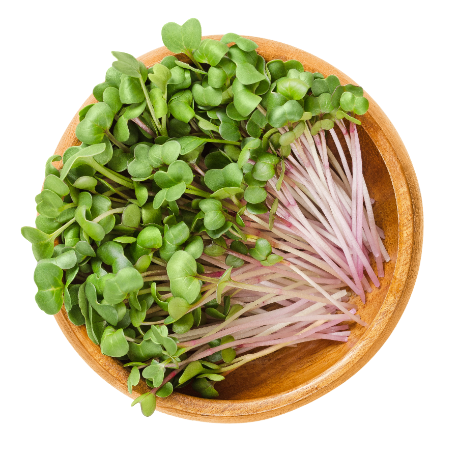 Micro Greens